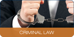Areas Of Practice - Criminal Law