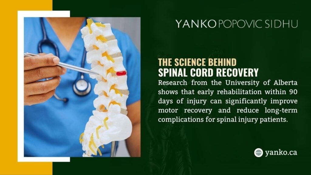 Doctor pointing at a model of the spinal column. Text discusses University of Alberta research on early rehab for spinal cord recovery.