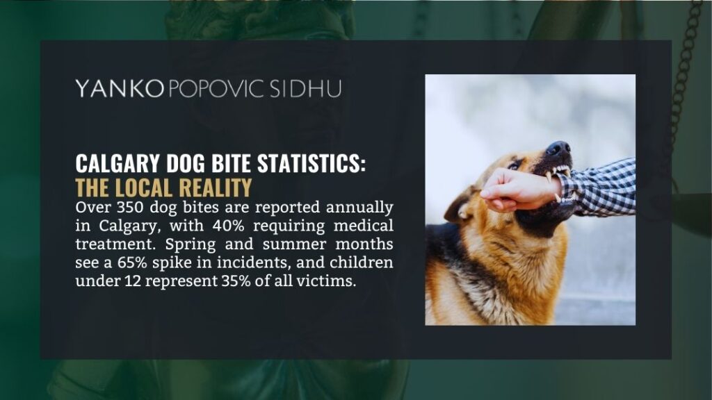 Calgary Dog Bite Statistics: The Local Reality
Alt: Calgary dog bite statistics: 350+ annual incidents, 40% requiring medical care, with 65% spike in spring-summer and children comprising 35% of victims