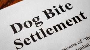 Dog bite settlement document for Calgary and Southern Alberta claims, showing legal paperwork for injury compensation valuation