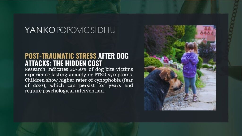 Post-traumatic stress after dog attacks: 30-50% of victims experience PTSD or anxiety, with children developing lasting cynophobia requiring psychological care